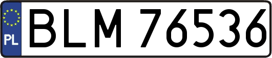 BLM76536
