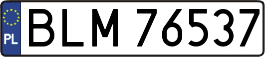 BLM76537