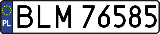 BLM76585