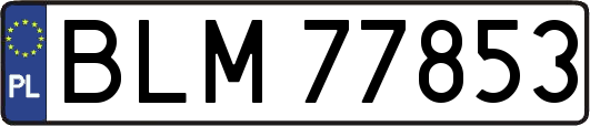 BLM77853