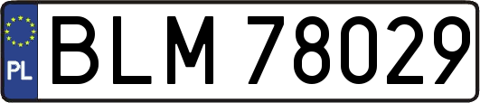BLM78029