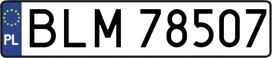 BLM78507