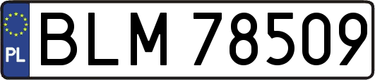 BLM78509