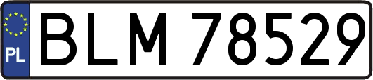 BLM78529