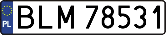 BLM78531