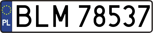 BLM78537