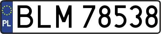 BLM78538