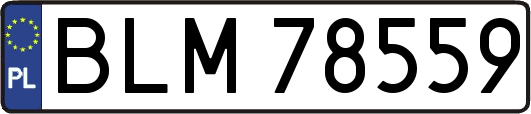 BLM78559