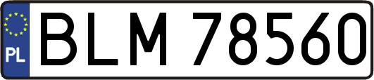 BLM78560