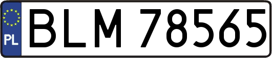 BLM78565