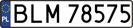 BLM78575
