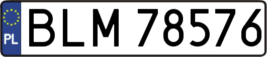 BLM78576