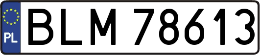 BLM78613