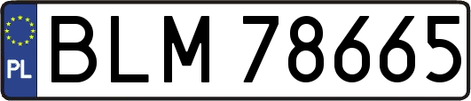 BLM78665