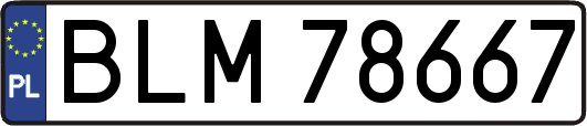 BLM78667