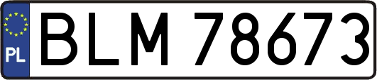 BLM78673