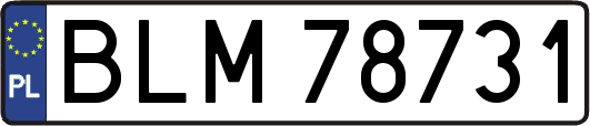 BLM78731