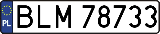 BLM78733