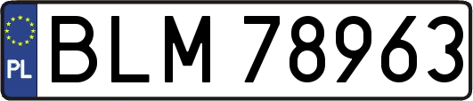 BLM78963