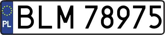 BLM78975