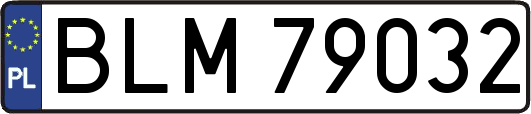 BLM79032