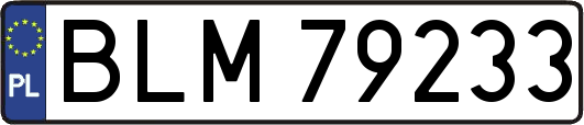 BLM79233