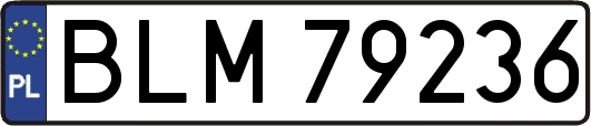 BLM79236