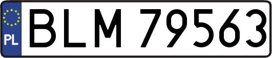 BLM79563