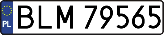 BLM79565