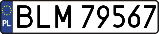 BLM79567
