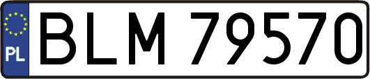 BLM79570