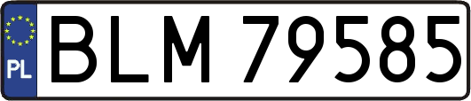 BLM79585