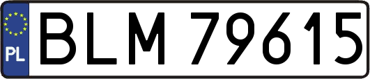 BLM79615