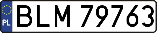 BLM79763