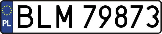 BLM79873