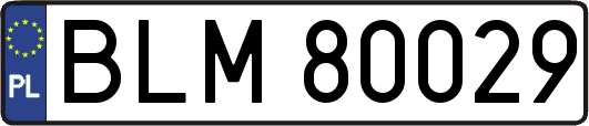 BLM80029