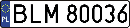BLM80036