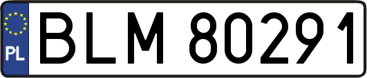 BLM80291