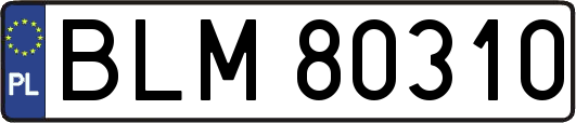 BLM80310