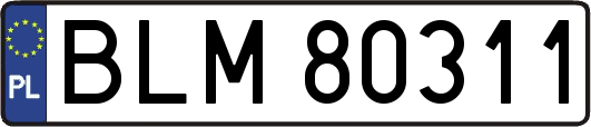 BLM80311
