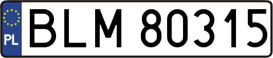 BLM80315