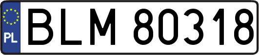 BLM80318