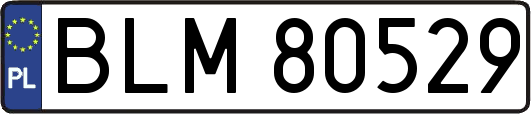 BLM80529