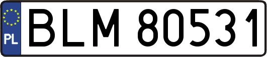 BLM80531