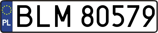BLM80579