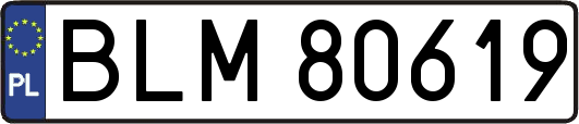 BLM80619
