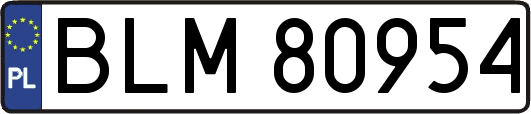 BLM80954