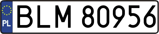 BLM80956