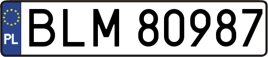 BLM80987