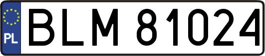 BLM81024